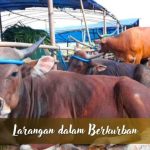 Larangan Kurban yang Sering Terlupakan, Kamu Salah Satunya?