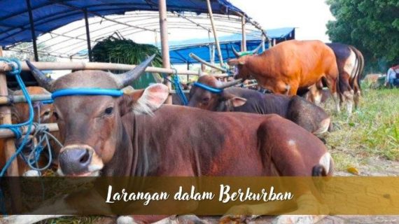 Larangan Kurban yang Sering Terlupakan, Kamu Salah Satunya?
