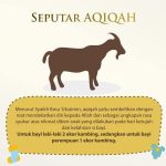 Peran Orang Tua dalam Aqiqah: Tanggung Jawab atau Kewajiban?