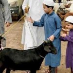 Si Kecil dan Kurban: Membentuk Kepedulian Sejak Dini