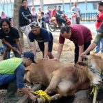 Syarat Sah Penyembelihan Qurban
