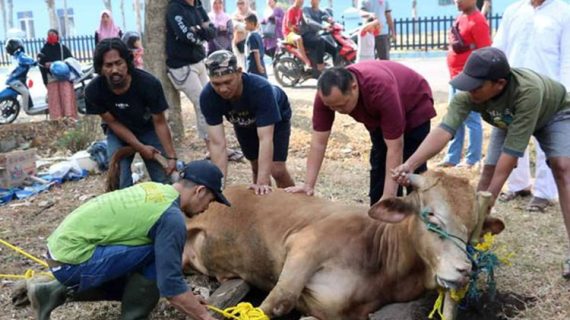Syarat Sah Penyembelihan Qurban