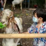 Mengajarkan Anak tentang Makna dan Hikmah Berkurban