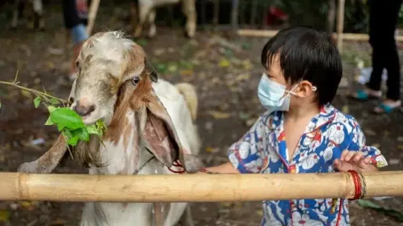 Mengajarkan Anak tentang Makna dan Hikmah Berkurban